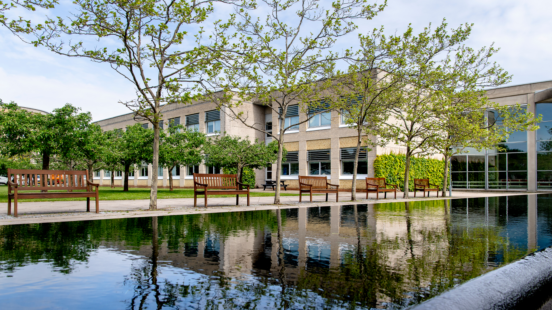 Ballerup Campus, with its yellow buildings and green trees reflected in a pond in the foreground
